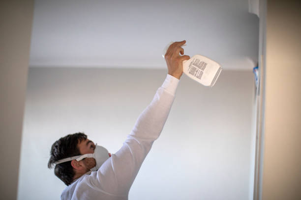 Best Mold Remediation for Specific Building Types in Shadeland, IN