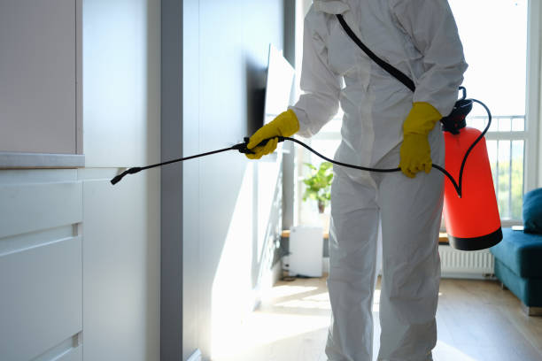 Best Commercial Mold Remediation in Shadeland, IN
